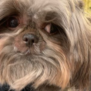 Meet your Posher, Laura